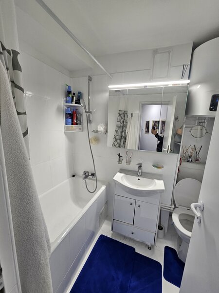 Pantelimon, Mega Mall,